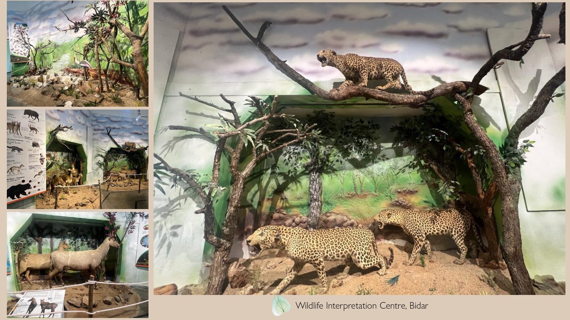 Exhibits