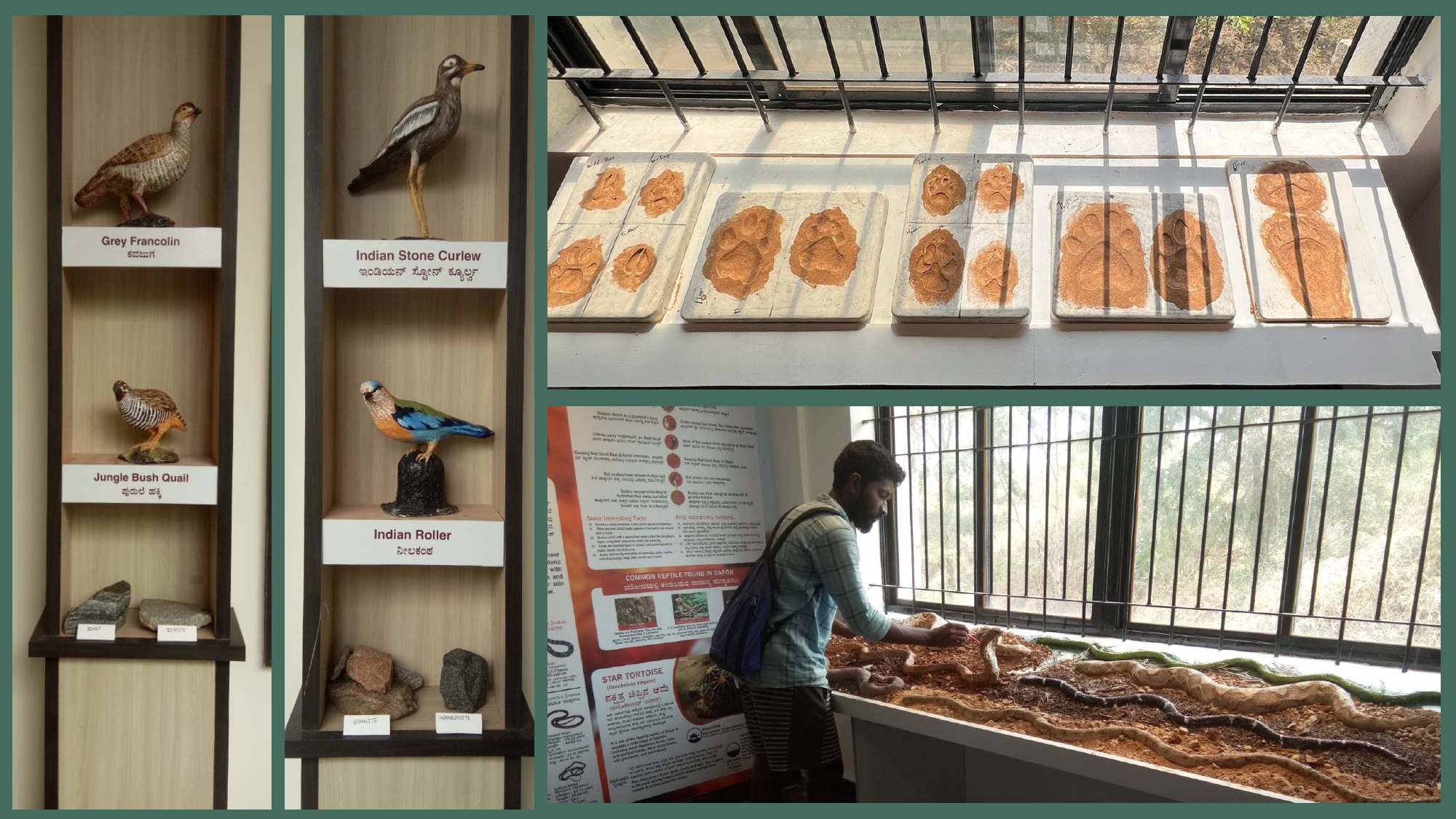 Exhibits
