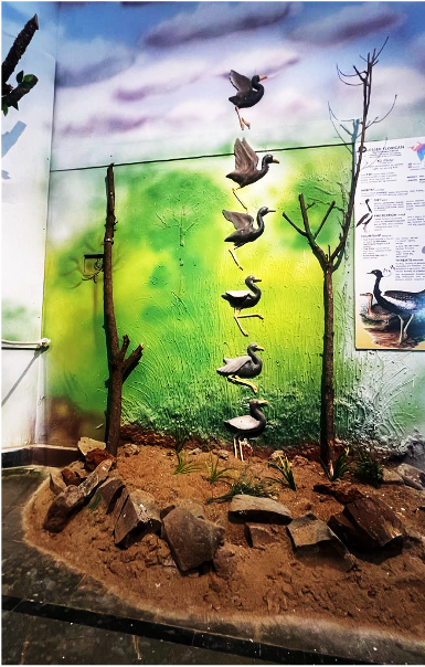Mountain ecosystem
